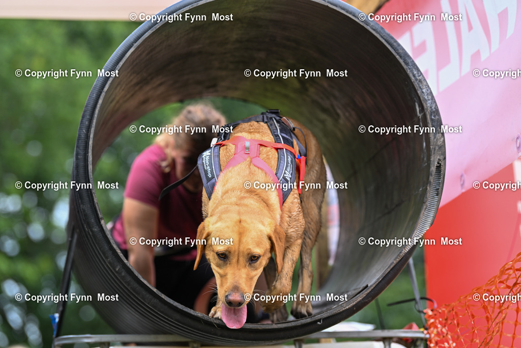 DSC_3199 | Hallo und herzlich Willkommen auf meiner Shop-Seite Fynn Most.

Ich wünsche Dir viel Spaß beim stöbern durch die Bilder, wenn Du Fragen hast oder Bilder vermisst, kannst du mir gerne eine Nachricht schreiben. - Realisiert mit Pictrs.com