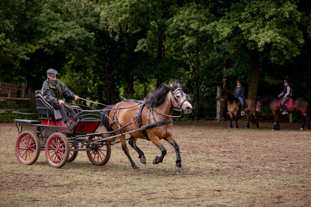 846A0818 | fotosleben - Realisiert mit Pictrs.com