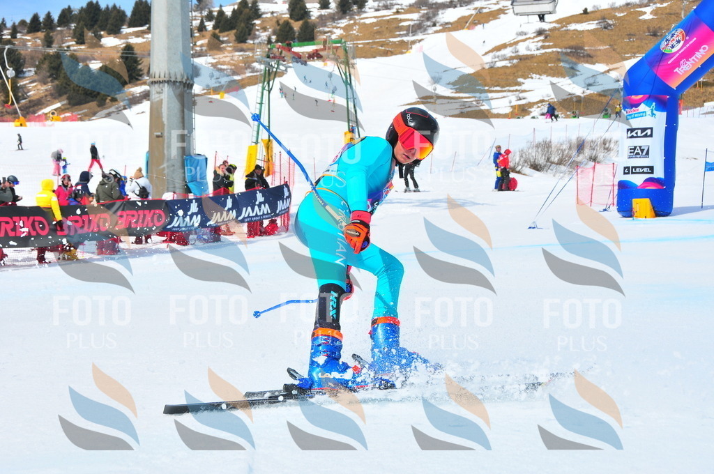 DSC_6686 | holidayphoto