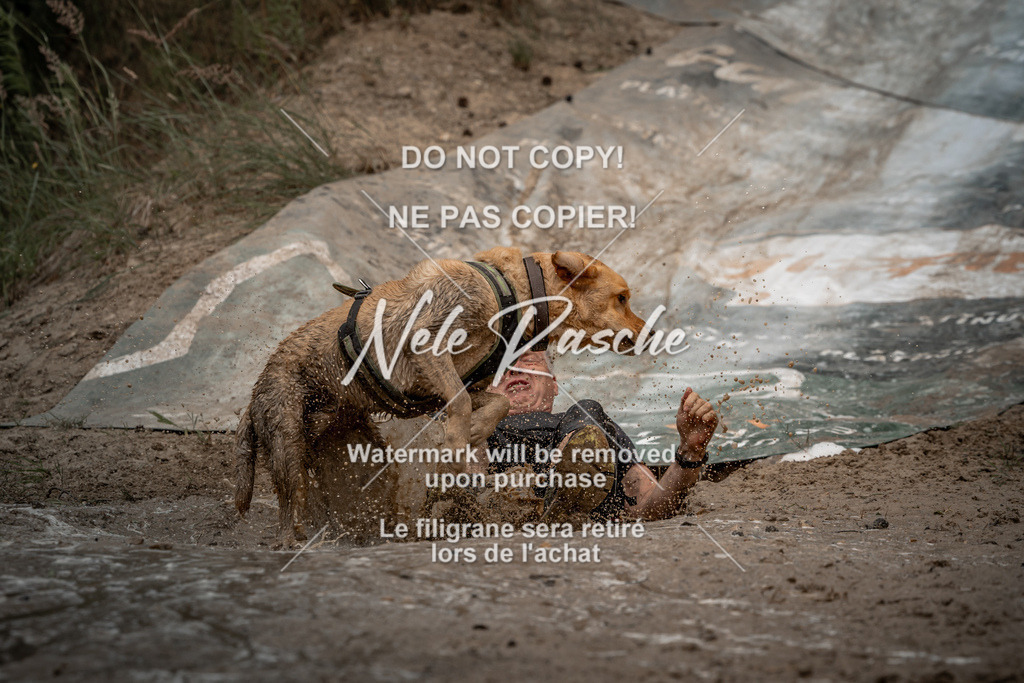 nelerasche_sa1345-1430_398 | nelerasche