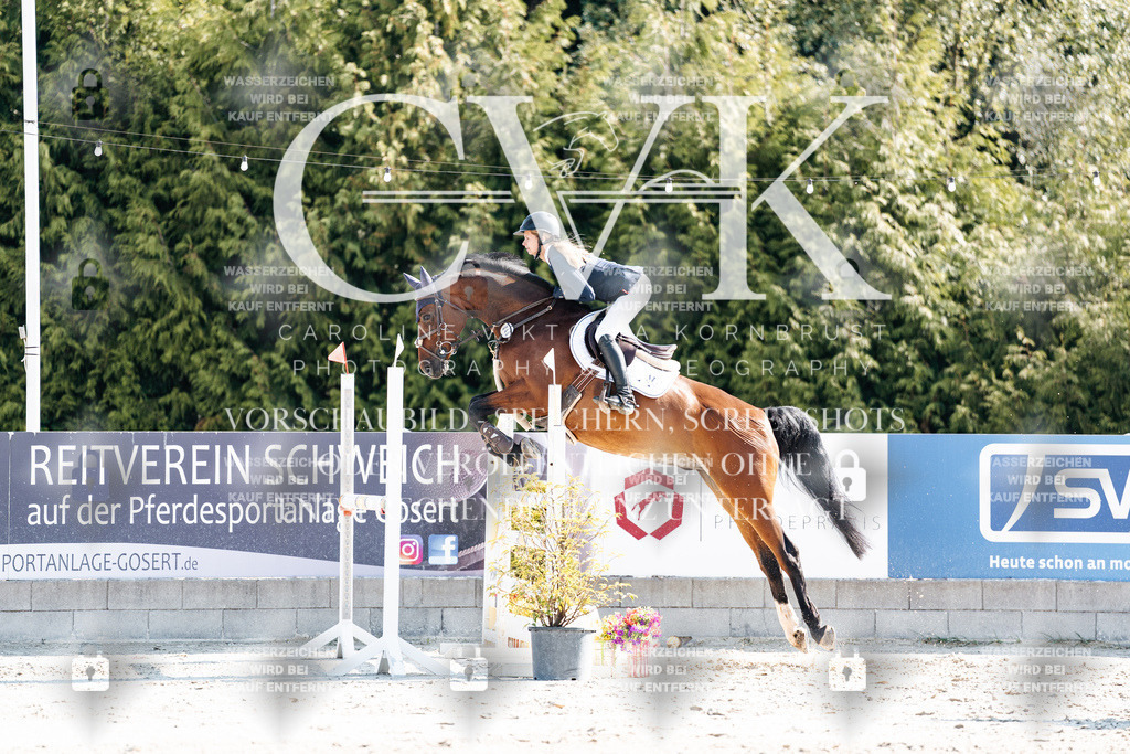 CK902183 | Turnierfotografie Pferdefotografie Trier Rheinland-Pfalz Pferdesport Reitsport Tierfotografie Sportfotografie Pferdevideo Pferdevideografie Equestrianvideography equestrianphotography  - Realisiert mit Pictrs.com