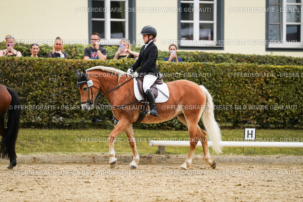 DSC00461 | Pferdegrafie