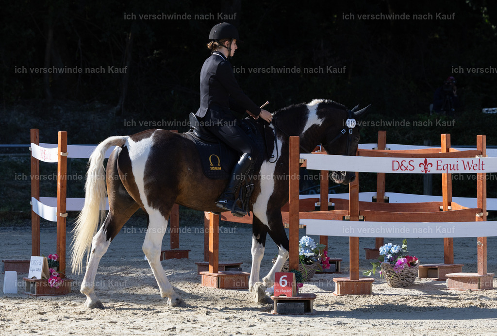 WA_Trail_115_KerstinBernhardt-12 | working equitationturnier fotograf videograf stoibphotography marixx film working equitation deutschland reitsport turnierfotografie eventfotografie equestrian events