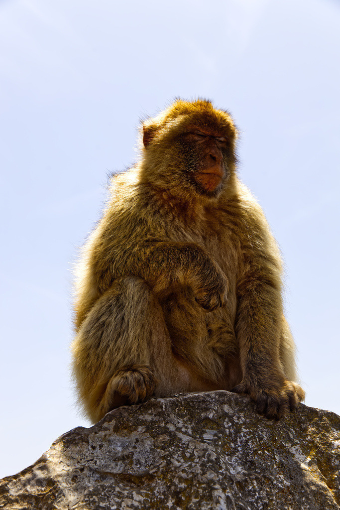 1H5A2953 | ansichtssache