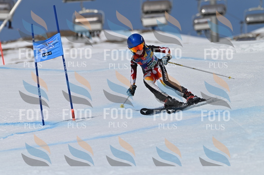 BGV_6431 | holidayphoto