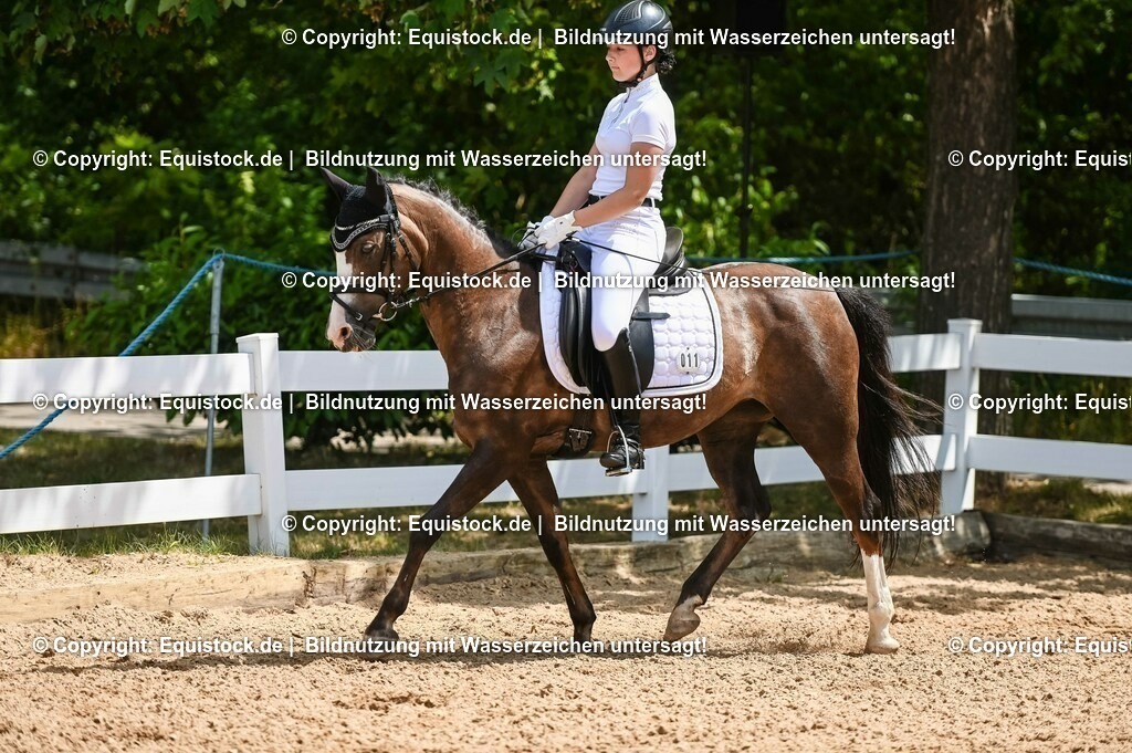 20230715_09_Dressur-WB_0145 | equistock