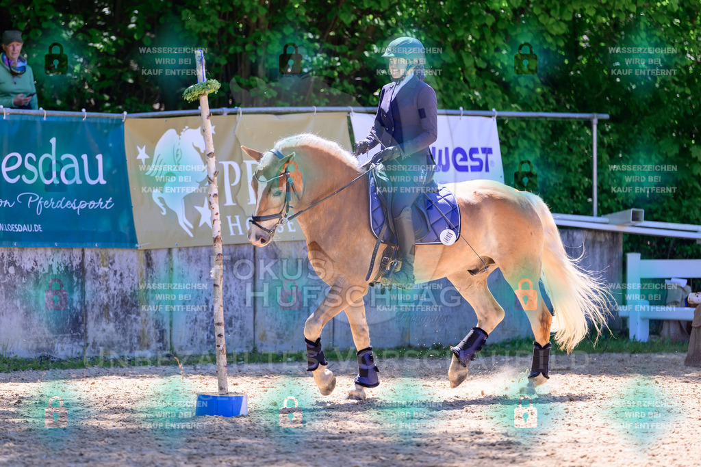 02052026-Giesenbach-01-Stiltrail-0315 | Fokus Hufschlag Fotografie - Realisiert mit Pictrs.com