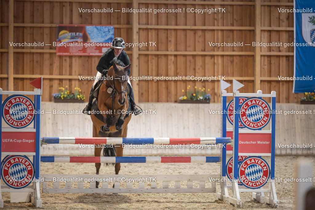 _D5A8662 | Emotionale Pferde- & People-Fotografie rund um Heidelberg, Leimen & Umgebung. Natürliche Fotos von Pferd, Mensch & Familie. Jetzt Termin sichern!