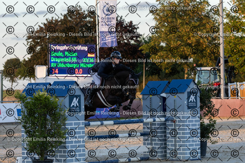 CL5A4533 | Emilia Reinking Fotografie - Realisiert mit Pictrs.com