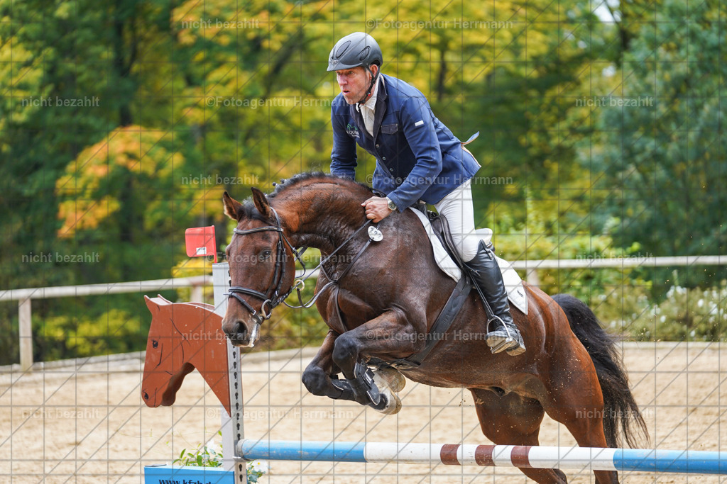 20221009-FAH08791 | Diessen am Ammersee, 2022, Dressur- und Springturnier, Reitsportbilder, Turnierfotografen Bayern, Pferdefotografen, Fotoagentur Herrmann, Turnierbilder