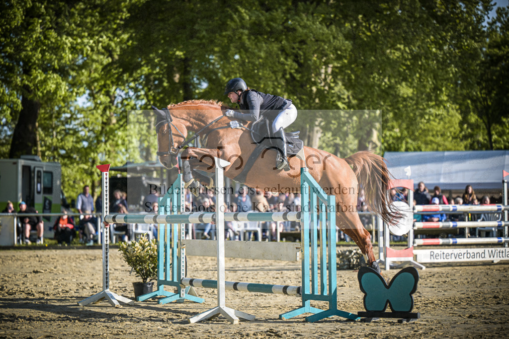 DOS_4156 | Entdecke hochwertige Reitturnierfotos von Foto Oger. Professionell, emotional und authentisch – jetzt Lieblingsmomente im Shop bestellen.Deutschlandweite Turnierfotografie. - Realisiert mit Pictrs.com