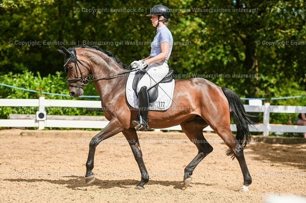 20230715_02_Dressurreiterprüfung Kl.L_0398 | equistock