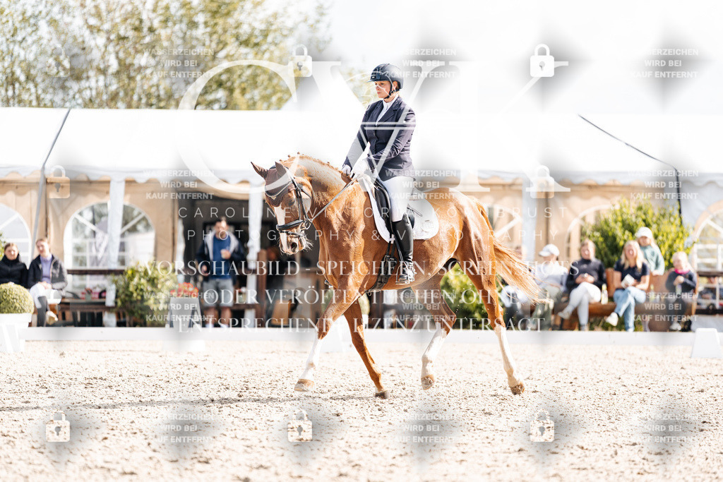 CK901835 | Turnierfotografie Pferdefotografie Trier Rheinland-Pfalz Pferdesport Reitsport Tierfotografie Sportfotografie Pferdevideo Pferdevideografie Equestrianvideography equestrianphotography  - Realisiert mit Pictrs.com