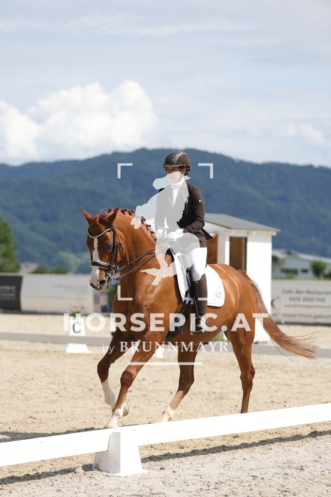 0P6A5711 | Willkommen bei Brunnmayr - Design & Fotografie – Ihrem Spezialisten für Reitturniere und Pferdeveranstaltungen in Oberösterreich, Salzburg und Bayern! Seit über 17 Jahren sind wir leidenschaftlich dabei.