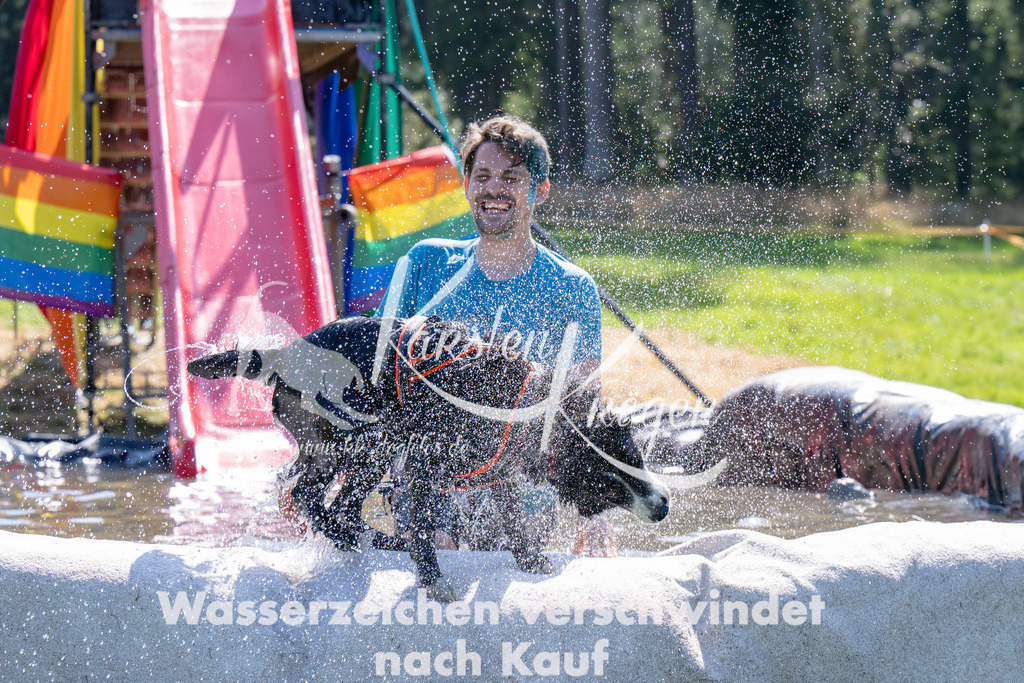 1422_ZZ94835 | kk-dogfotos