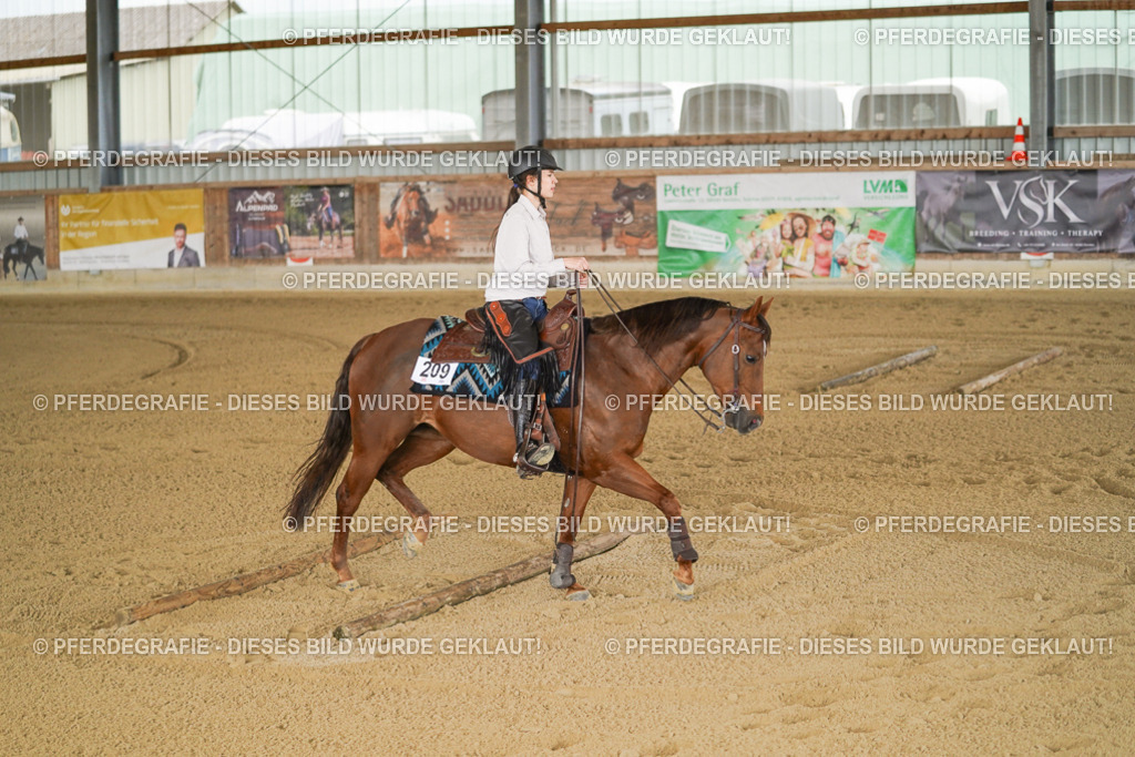 DSC05975 | Pferdegrafie