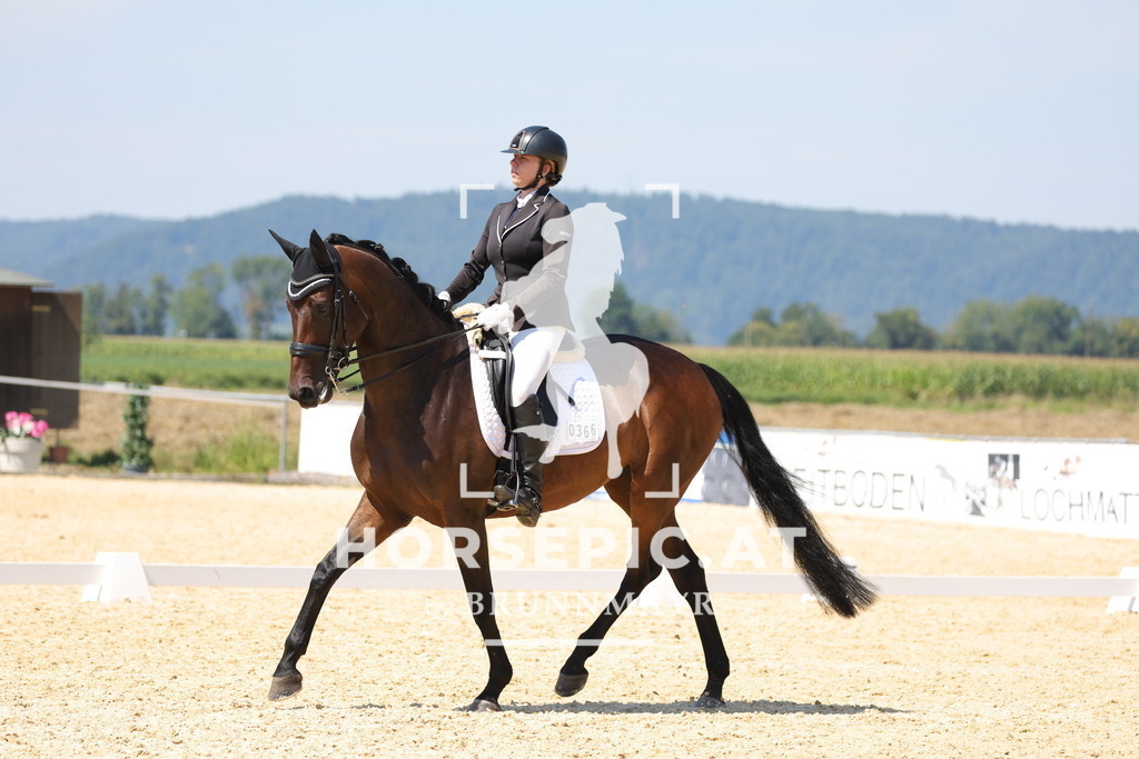 0P6A0968 | Willkommen bei Brunnmayr - Design & Fotografie – Ihrem Spezialisten für Reitturniere und Pferdeveranstaltungen in Oberösterreich, Salzburg und Bayern! Seit über 17 Jahren sind wir leidenschaftlich dabei.