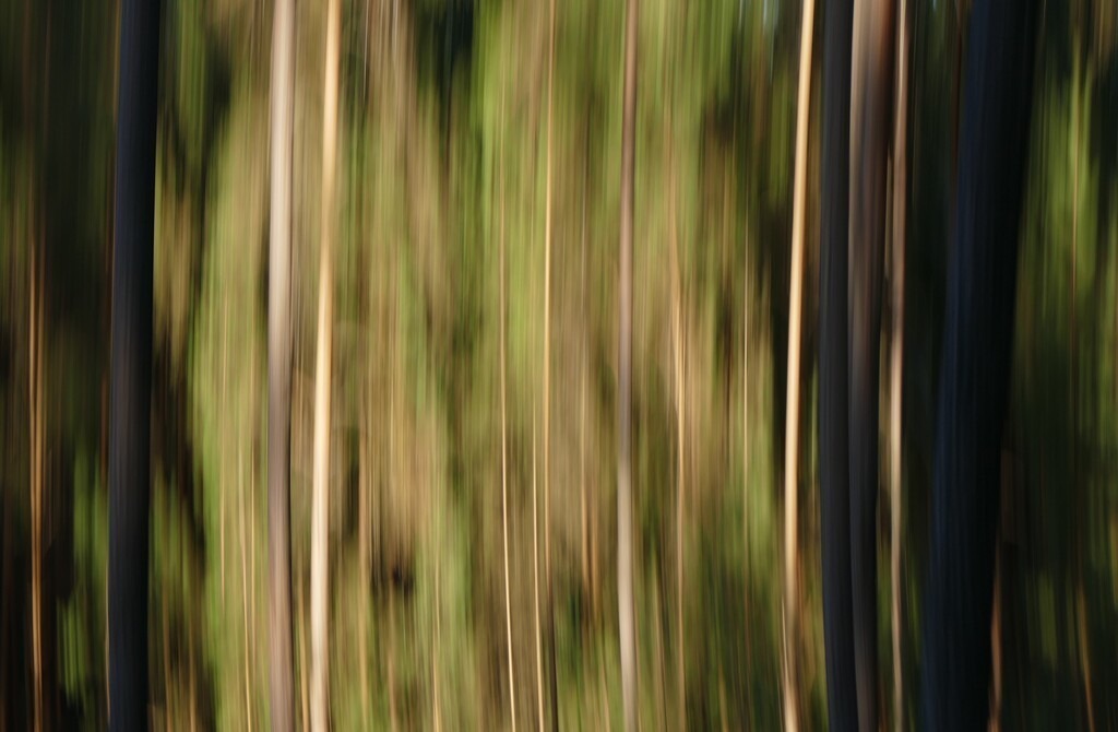 P4050509_b | Annaeherungen - Realisiert mit Pictrs.com
