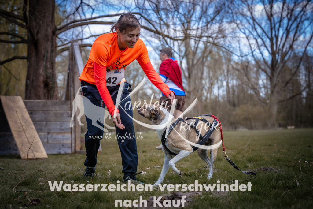 1033_ZZ97681 | kk-dogfotos
