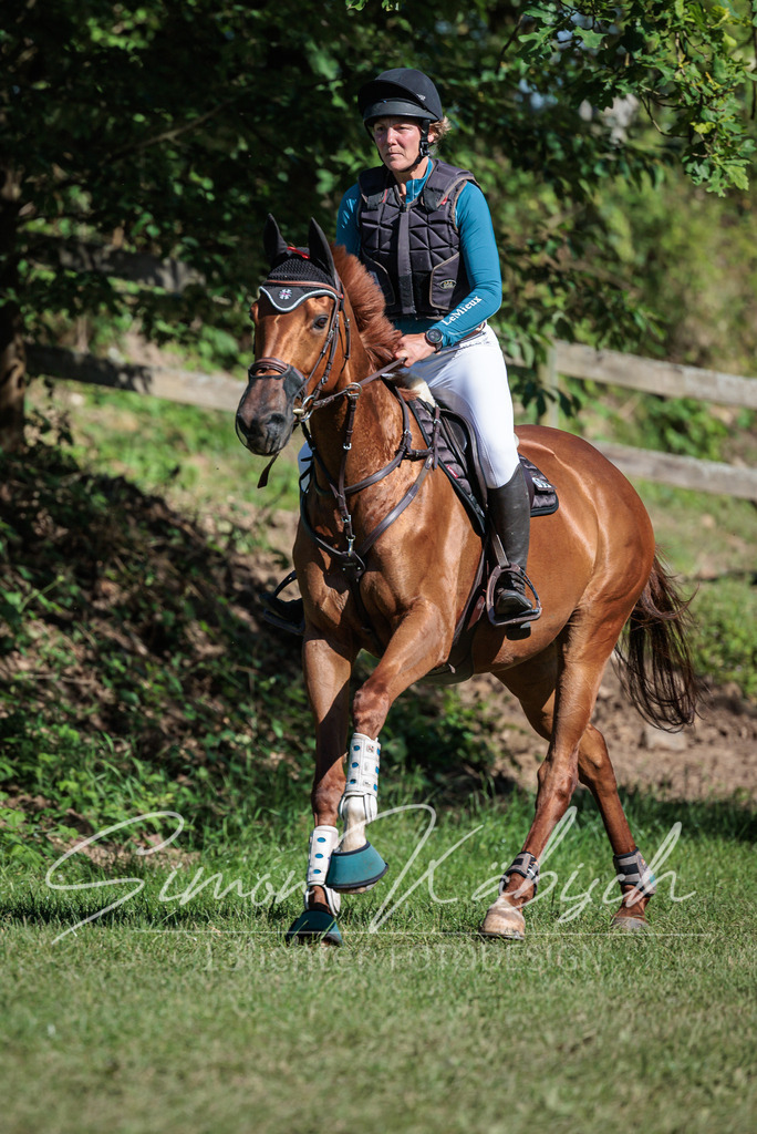 20260523-_3LI6439 | Tierfotografie Pferde, Hunde, Katzen, Haustiere.
Turnierfotografie Reitturniere, Reiten, Springreiten, Dressur in Hanau, dem Main-Kinzig-Kreis und dem Rhein-Main- Gebiet um Frankfurt