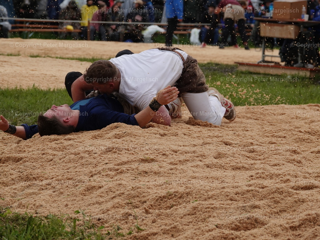 DSC07582 | Schwingen - Realisiert mit Pictrs.com