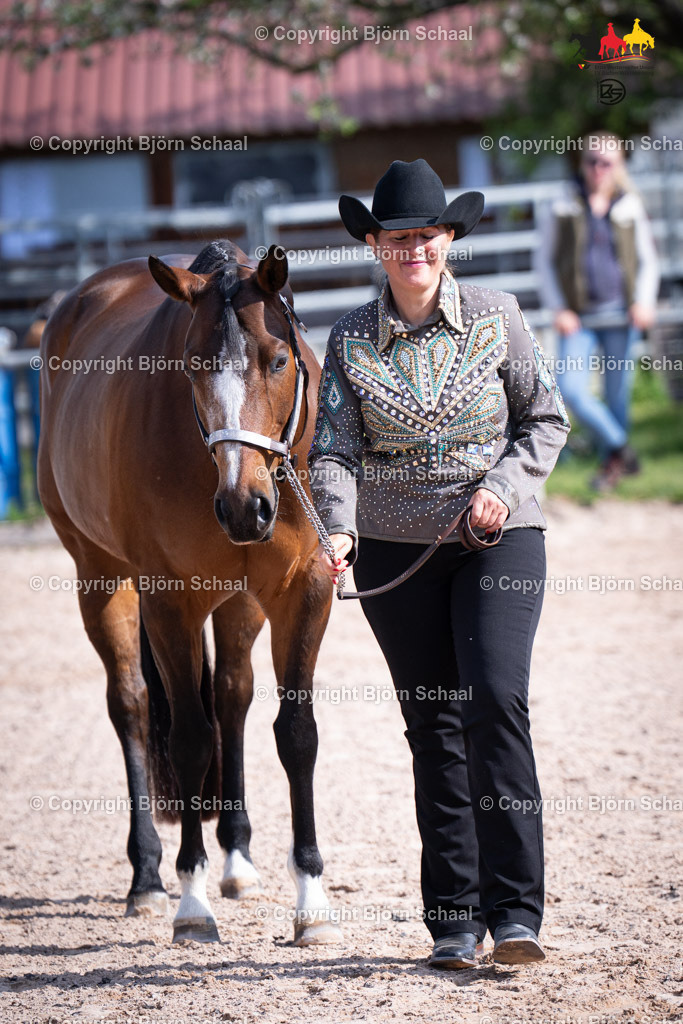 LMB07280 | BS-foto