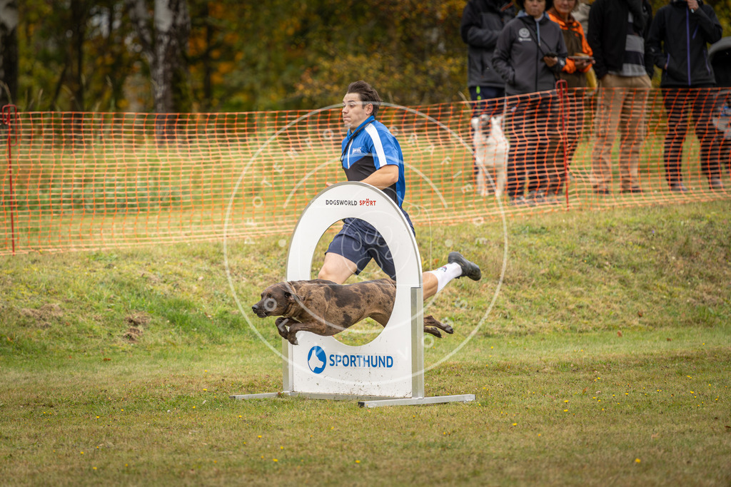 Pfotenfotografie_DV3A6015 | Hundefotografie, Tierfotograf, Pfotenfotografie, Fotoshooting Hund, Hunde Portrait, Hundesport, Hundeportraits, Heideshooting, Hunde, Sportfotograf, Hundefotograf, Turnierhundsport, THS,  - Realisiert mit Pictrs.com