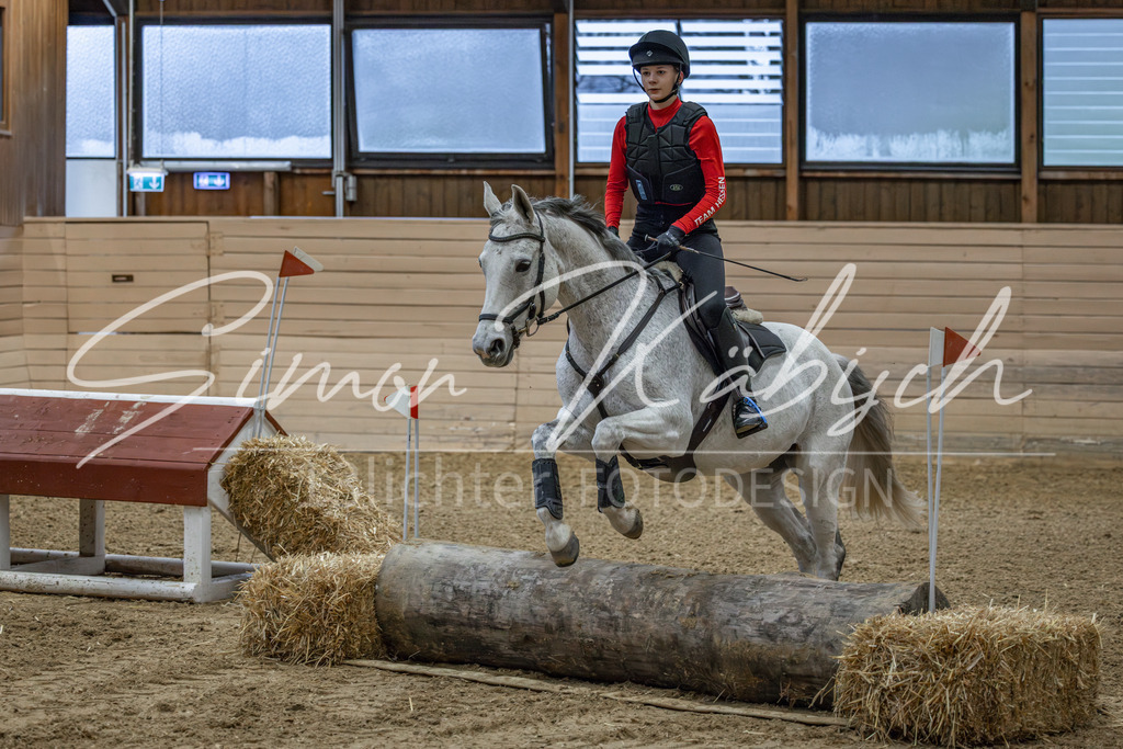 20260222-_3LI0816 | Tierfotografie Pferde, Hunde, Katzen, Haustiere.
Turnierfotografie Reitturniere, Reiten, Springreiten, Dressur in Hanau, dem Main-Kinzig-Kreis und dem Rhein-Main- Gebiet um Frankfurt
