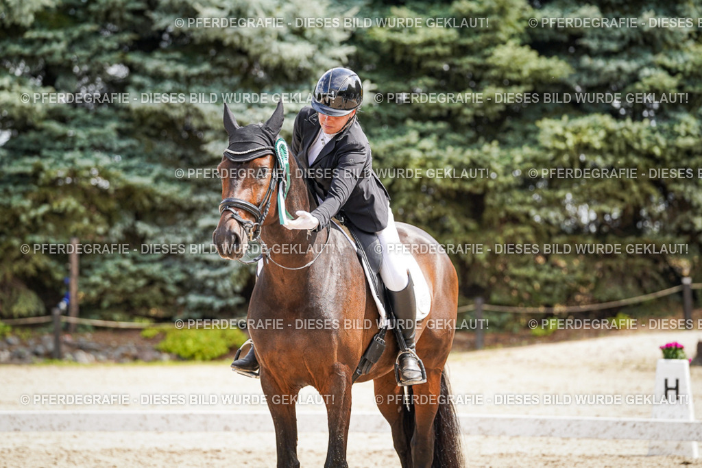 DSC09726 | Pferdegrafie