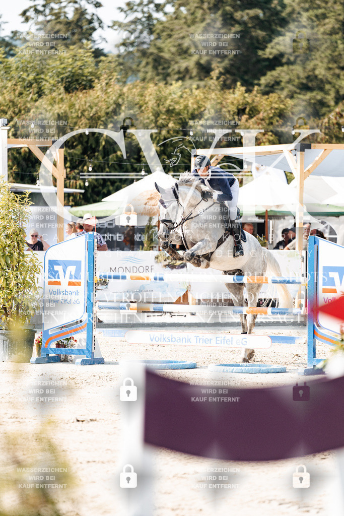 CK902291 | Turnierfotografie Pferdefotografie Trier Rheinland-Pfalz Pferdesport Reitsport Tierfotografie Sportfotografie Pferdevideo Pferdevideografie Equestrianvideography equestrianphotography  - Realisiert mit Pictrs.com