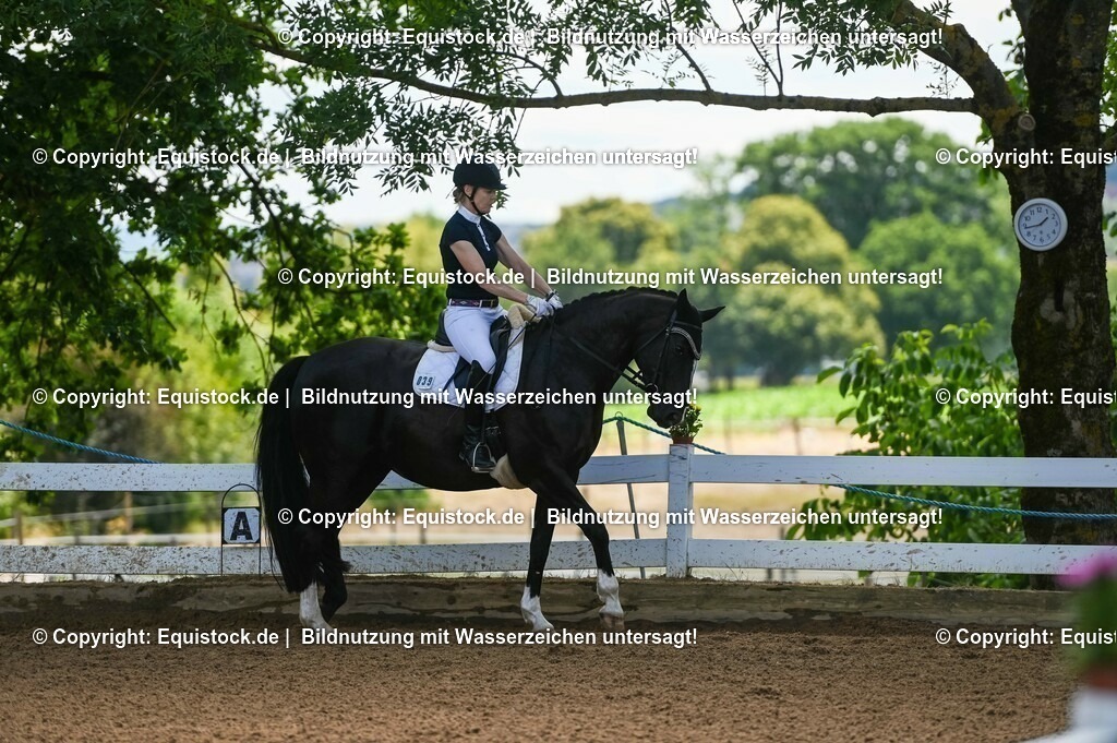 20230716_03_Dressurprfg. Kl.L - Tr._0146 | equistock
