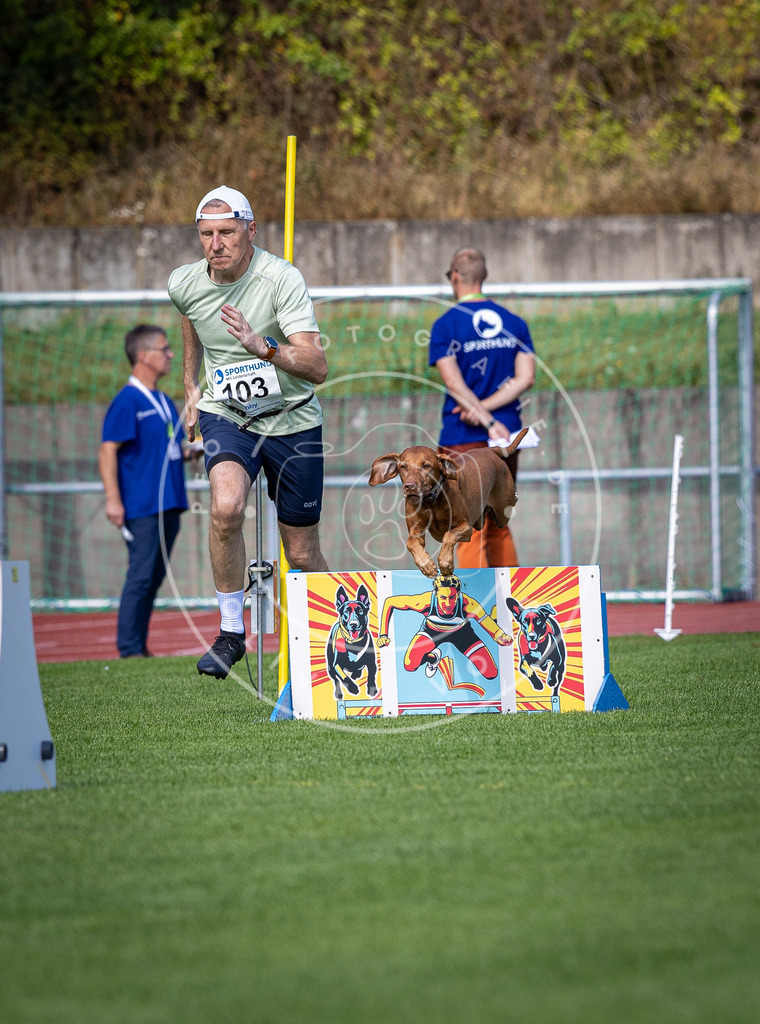 Pfotenfotografie_DV3A8081 | Hundefotografie, Tierfotograf, Pfotenfotografie, Fotoshooting Hund, Hunde Portrait, Hundesport, Hundeportraits, Heideshooting, Hunde, Sportfotograf, Hundefotograf, Turnierhundsport, THS,  - Realisiert mit Pictrs.com