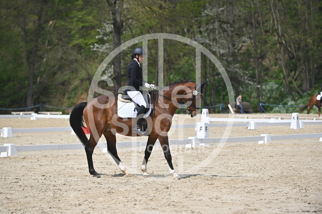 DSC_1978 | sattelsport - Realisiert mit Pictrs.com