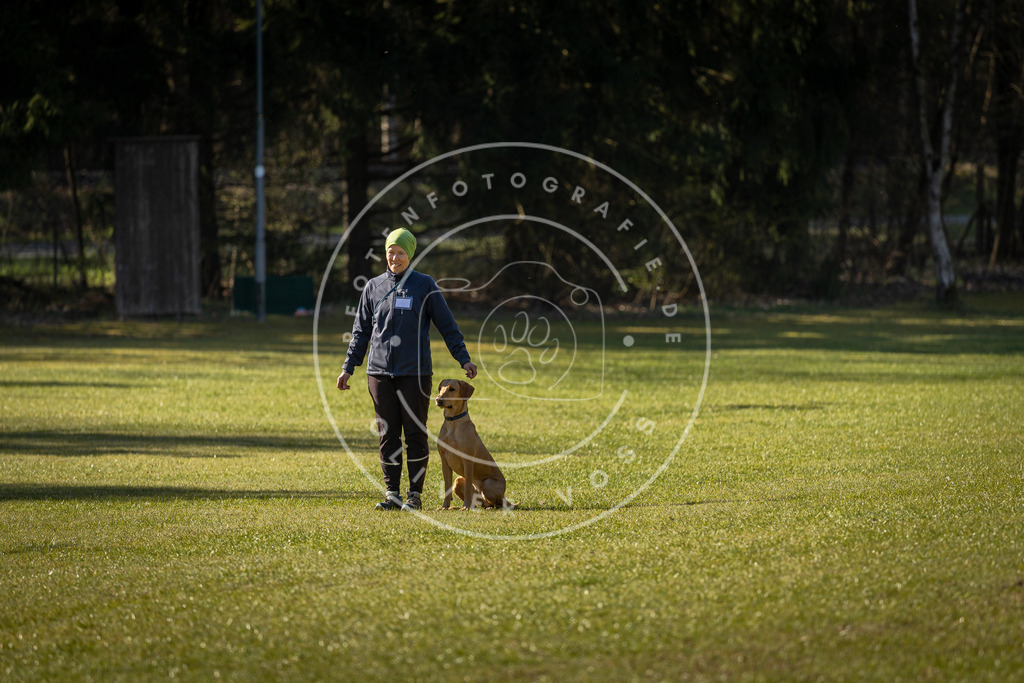 Pfotenfotografie_DV3A0105 | Hundefotografie, Tierfotograf, Pfotenfotografie, Fotoshooting Hund, Hunde Portrait, Hundesport, Hundeportraits, Heideshooting, Hunde, Sportfotograf, Hundefotograf, Turnierhundsport, THS,  - Realisiert mit Pictrs.com