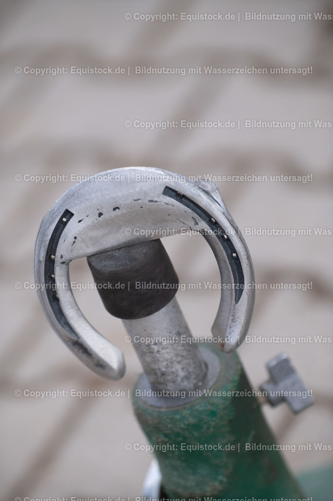 20210429_Spezialbeschlag_0005 | equistock