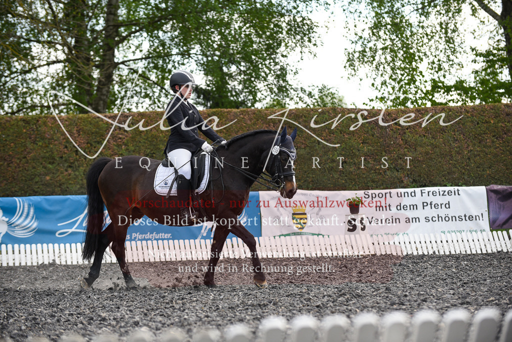 20230513_JK-Röhrsdorf-17-223 | Pferde- und Turnierfotografie in Westsachsen. Pferdeportraits, Auftragszeichnungen und intuitive Kunst.