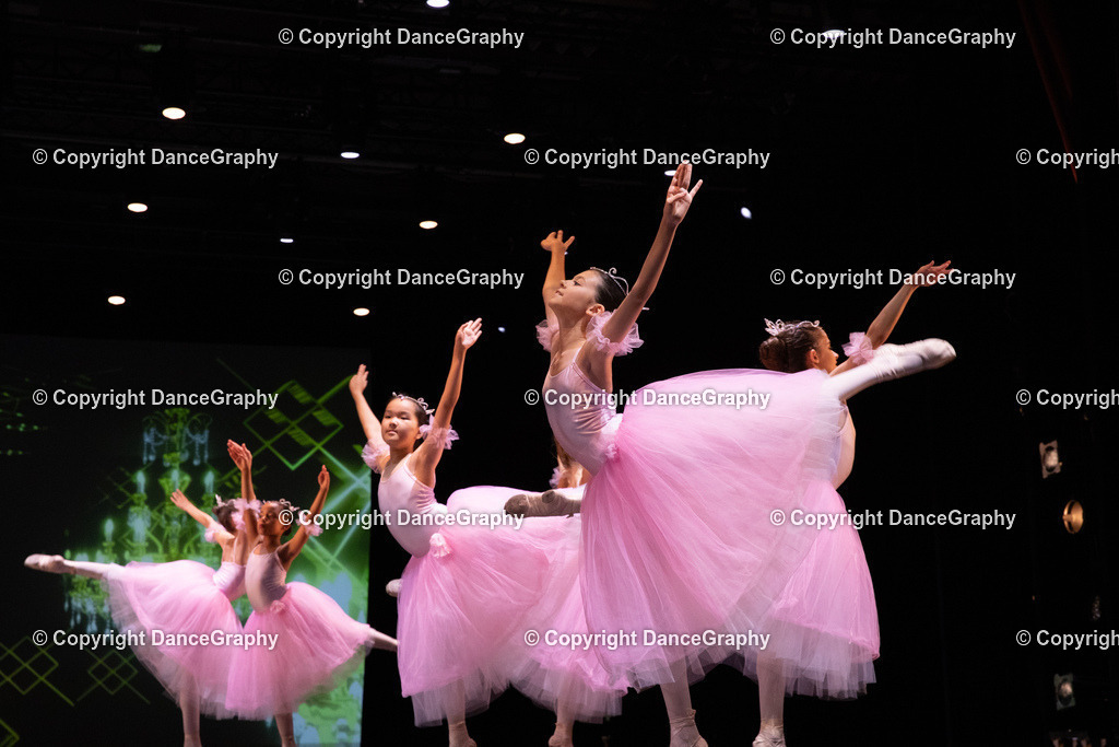 GPHY6747 | DanceGraphy - Realisiert mit Pictrs.com