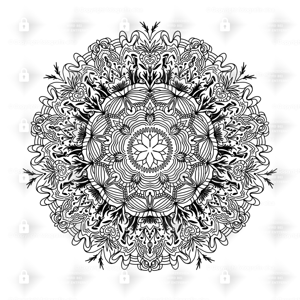 74Seite | fotografinelsa