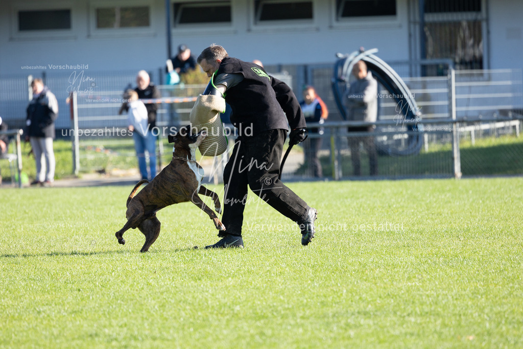_16A5051 | Einzigartige Fotos von Hunden & Menschen –Actionfotos, Portraits, Vereinsaufnahmen & Paarshootings – authentisch, lebendig & mit Herz.
