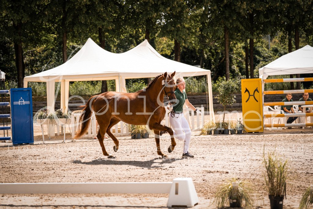 1.Fr00057 | Leoni Ertmer Photography - Realisiert mit Pictrs.com