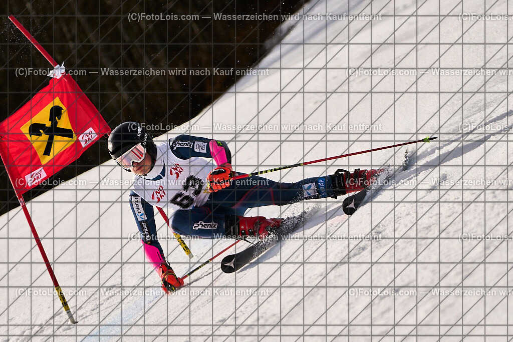 ALP8908_Herrn-FIS-GS-II_Lackenhof-WY_SCHERER Gregor | Internationaler FIS GiantSlalom der Herrn auf der Distelpiste in Lackenhof am Di 11. März 2025.  Österreich, LSV-NÖ, Sportunion Waidhofen/Ybbs (2035).