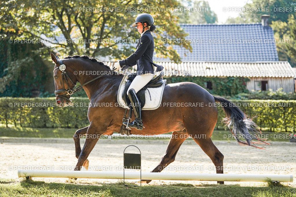 DSC06864 | Pferdegrafie