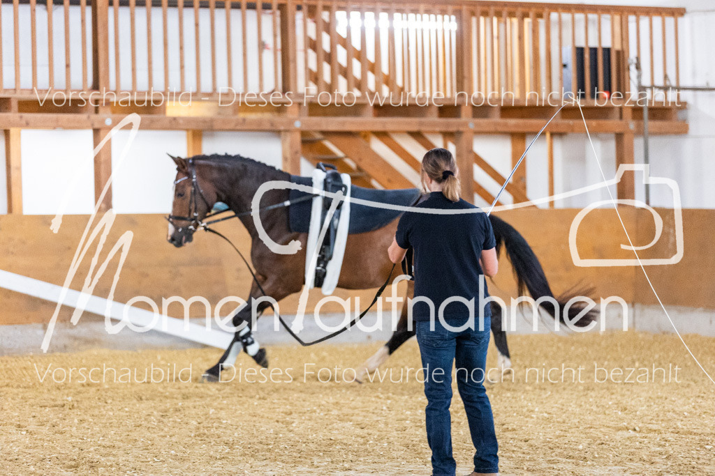 VTD-Voltigierpferde-061 | MomenTaufnahmen Pferdesportfotos