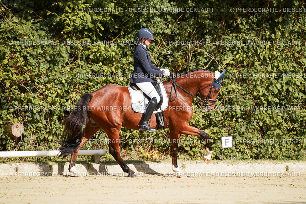 DSC07590 | Pferdegrafie