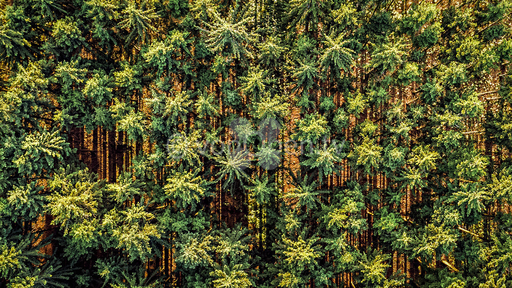 Schattenwurf im Waldstück bei Teuschnitz | Luftbilder, Drohnenbilder, Oberfranken, Bayern, Kronach, Lichtenfels, Kulmbach, Thüringen, Frankenwald, Thüringerwald - Realisiert mit Pictrs.com