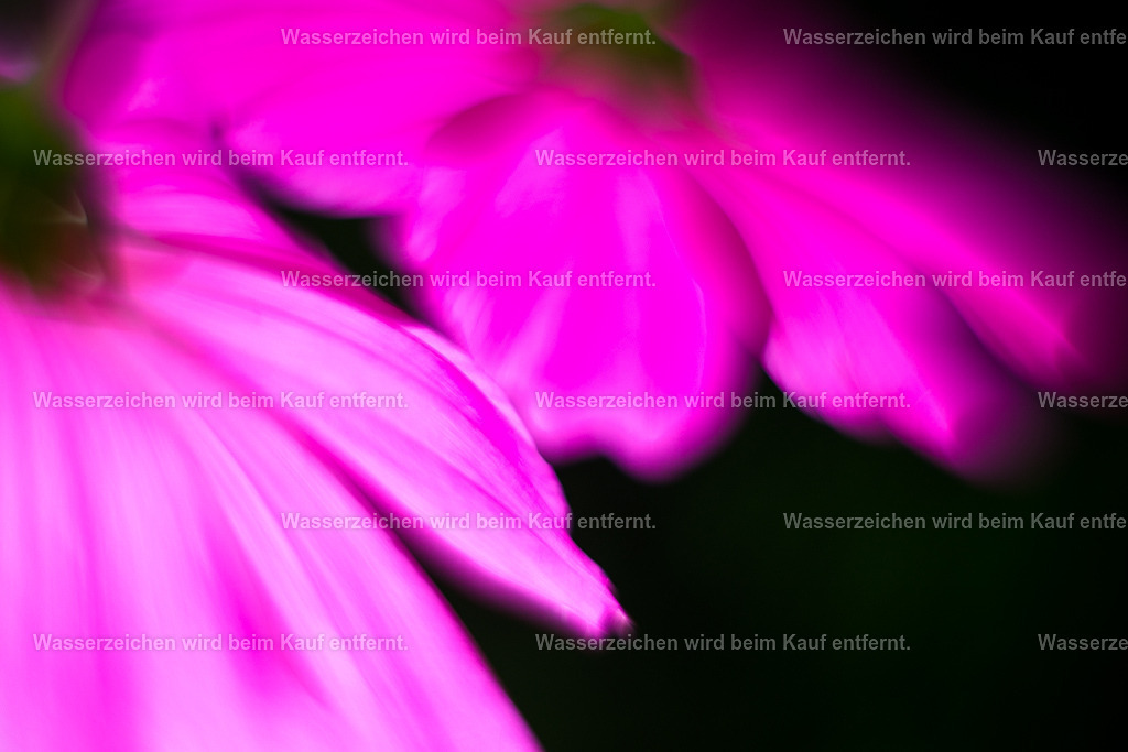 Herzensspiele, Seelenspiele | Die Botschaft zum Bild lautet: Lass dein Herz strahlen und tanzen gegen die Einsamkeit in deinem Leben. Und du sendest genau das aus, um ein weiteres Herz in dein Leben zu ziehen und sei dankbar für die Herzen, die sich in deinem Leben befinden. Fühle die Leichtigkeit hier in deinem Herzen. Hier wird die Herzkraft unterstützt, das Glück. Denn das sind Leitlinien zu deinem Seelenpartner.