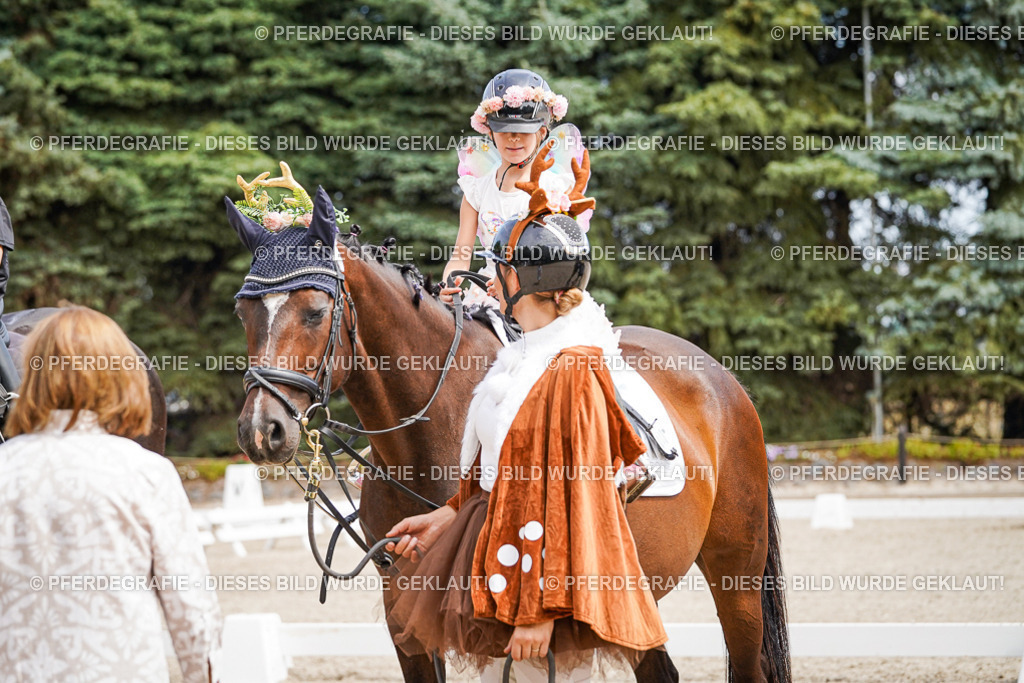 DSC03168 | Pferdegrafie