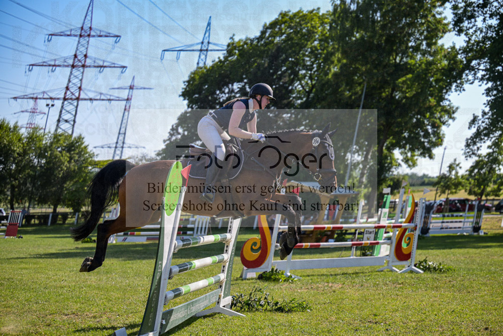 Reitturnier Voxtrup | Entdecke hochwertige Reitturnierfotos von Foto Oger. Professionell, emotional und authentisch – jetzt Lieblingsmomente im Shop bestellen. - Realisiert mit Pictrs.com