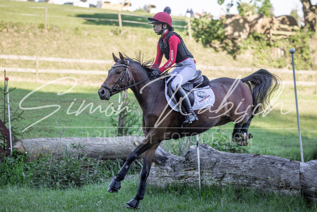 20260523-_3LI5954 | Tierfotografie Pferde, Hunde, Katzen, Haustiere.
Turnierfotografie Reitturniere, Reiten, Springreiten, Dressur in Hanau, dem Main-Kinzig-Kreis und dem Rhein-Main- Gebiet um Frankfurt