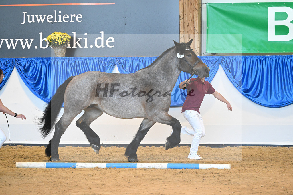 Kat-Nr. 9 Tanja vom Ilkendorf_Reichel_53220970 | hf-fotografie - Realizzato con Pictrs.com